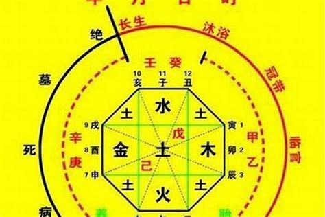 忌金的人|八字五行忌金是什么意思